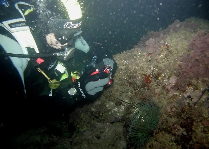 Inmovecos 1ºlinea Playa Soling 5 Daire