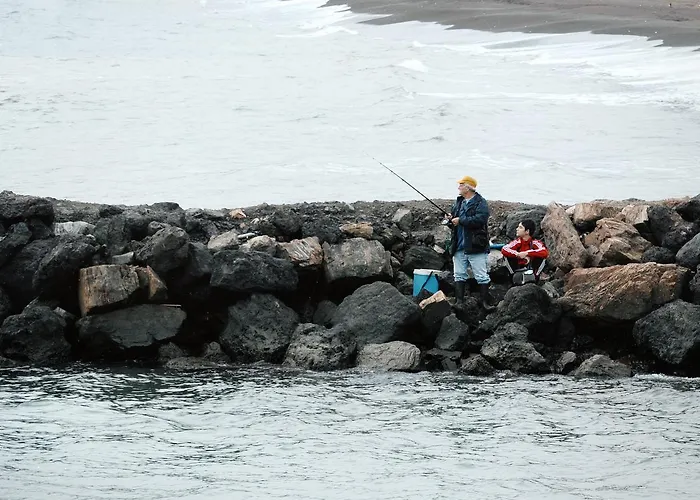 Appartement Inmovecos 1ºlinea Playa Soling 5